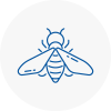 Bee Nest Removal Oxford