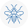 Oxford Hornet Nest Removals