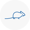 Mice Exterminators In Oxford