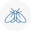 Moth Control Specialists In Oxford