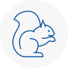 Oxford Rodent Removals